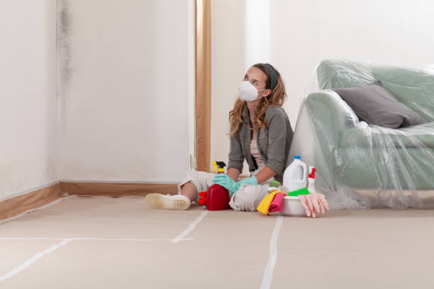 Reliable Attic Mold Removal contractor in Ferndale, MD by WQB Mold Removal